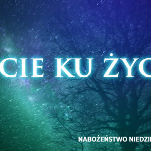 Życie ku życiu